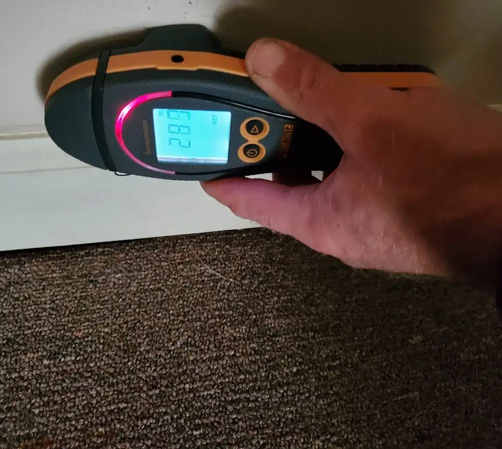 Moisture detection at baseboard during Mold Inspection & Testing in Vestal